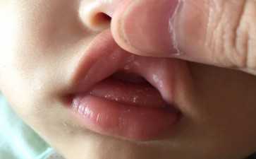 代生代怀资讯：2026试管可以生双胞胎吗？试管龙凤胎全解析与助孕建议